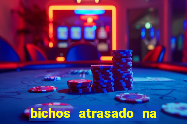 bichos atrasado na loteria dos sonhos